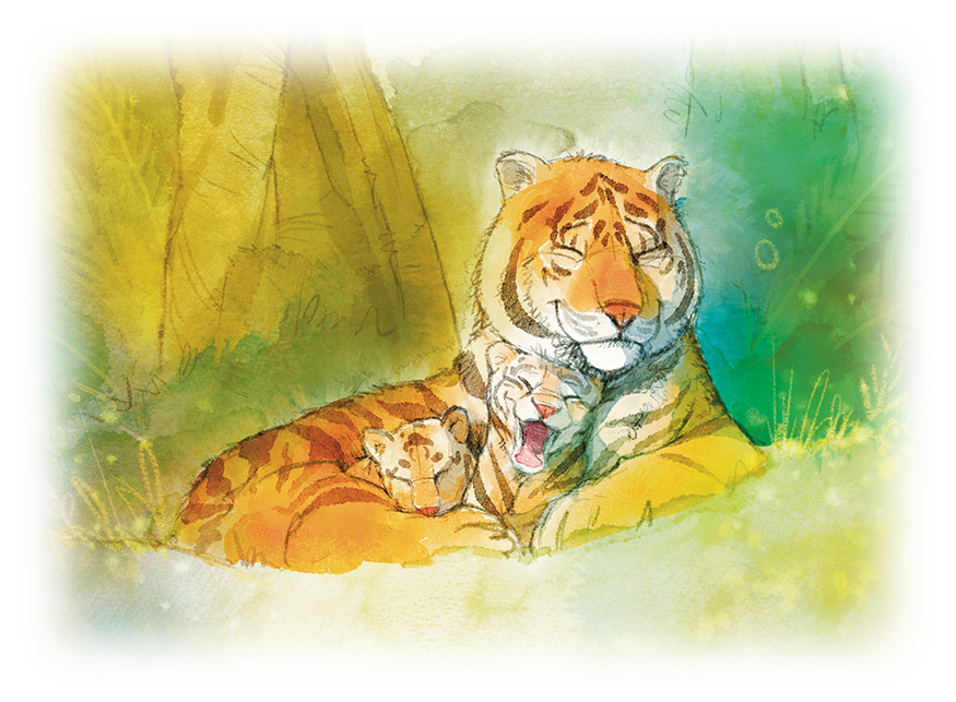 Soleram Illustration